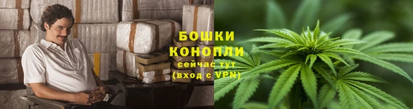 дурь Корсаков