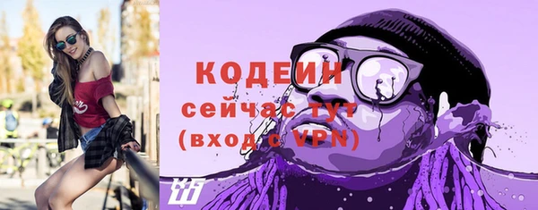 дурь Корсаков